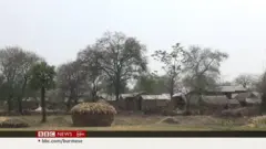 ယင်းမာပင်မြို့နယ်ထဲ ဒေသခံတွေနဲ့ စစ်တပ် အပြန်အလှန် ပစ်ခတ်နေ