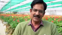 फूलों की खेती