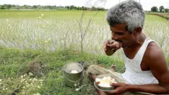 మెదక్ జిల్లాలో పొలం గట్టుపై భోజనం చేస్తున్న రైతు