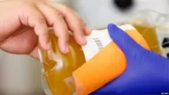 प्लाज़्मा