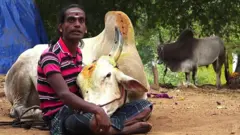 जलीकट्टू
