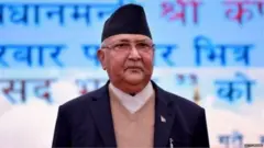 नेपाळ