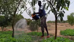 ayabootcam, tchad, entrepreneur, famine, agropastorale