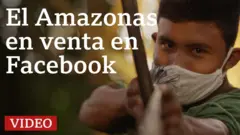 Guardián del Amazonas