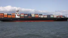 Pirates