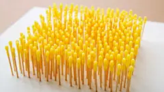 알렉산더 레벤의 '여왕벌의 마지막 안식처'