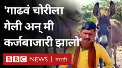 बीडच्या परळी भागातून जवळपास सव्वाशे गाढवं चोरीला गेली. या घटनेला 3 महिने उलटून गेलेयत.