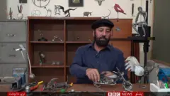 هنري توکي