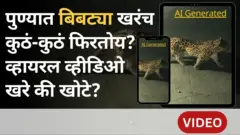 पुण्यात बिबट्याचा वावर