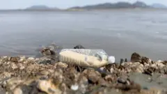 şişede pirinç