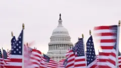 Banderas de Estados Unidos con el Capitolio al fondo. 