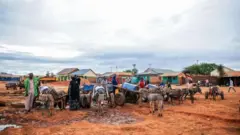 ማንዴራ ግዛት