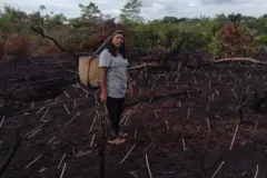 Mulher indígenavip pronostic 1xbetplantação queimada pelo fogo