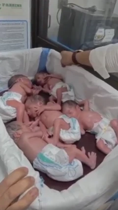کوئٹہ، بچوں کی پیدائش