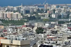 دخان يتصاعد من أبنية في مخيم عين الحلوة في لبنان.