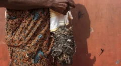 Ẹni to gbe oogun dani