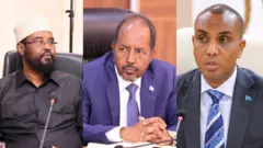 Dhammaan tallaabooyinkii la xiriiray doorashadaas ayaa xukuumaddu federaalku ku tilmaantay kuwo aan sharciga waafaqsaneyn.