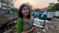கௌரி மௌலேகி விலங்கு நலனுக்காகப் பணியாற்றுகிறார்.