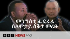 ቀ.ሚ ኣብይ ኣሕመድ (ጸጋም) - ደብረፅዮን ገብረሚካኤል (የማን)