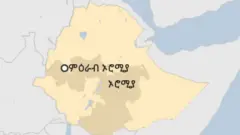 ካርታ