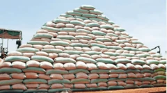 Shinkafa