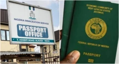 Ụlọọrụ NIS na akwụkwọ njirimaara maka ime njem