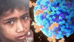 ચાંદીપુરા વાઇરસ, ચાંદીપુરા વાઇરસ શું છે