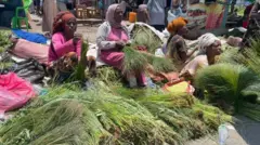 Dubartoota Adaamaatti jala-bultii baraa haaraa 2017 caffee gurguraa jiran