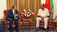 የኤርትራው ፕሬዝዳንት እና የግብፅ የውጭ ጉዳይ ሚኒስትር 