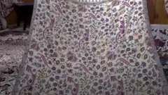 शॉल