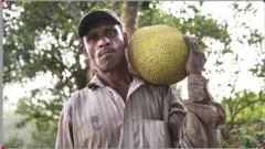 ਸ਼੍ਰੀਲੰਕਾ