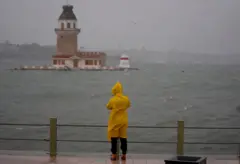 İstanbul'da sağanak yağış ve lodos yüzünden bazı semtlerde araçların üzerine ağaç düştüğü görüldü