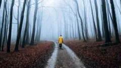 رجل يمشي في إحدى الغابات