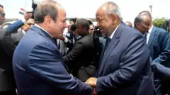 የግብፁ ፕሬዝዳንት አል ሲሲ ከጂቡቲው አቻቸው ኦማር ጊሌ