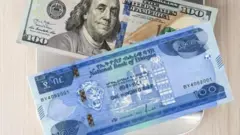 Doolaara Ameerikaa fi birrii 