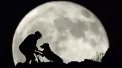 Jerai Garsija igra se sa psom Gretom tokom izlaska punog meseca na ostrvu Gran Kanarija.