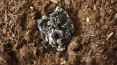 Nadir toprak elementlerinden birinin fotoğrafı