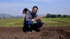 प्रातिनिधिक फोटो