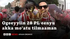 Pirimeer Liigii