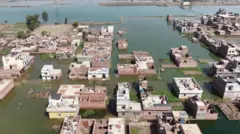 پنجاب کے دارالحکومت لاہور سمیت سیلاب نے پاکستان کے مختلف دیہی اور شہری علاقوں کو متاثر کیا ہے