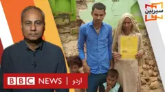 سیربین 