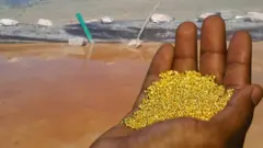 በኬሚካል የደፈረሰ ወንዝ እና ወርቅ የያዘ እጅ