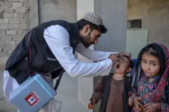 افغانستان کې د ګوزڼ ضد واکسیناسیون