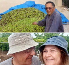 Zwei Bilder zeigen Joe Elias und seine Frau Diana. Das obere Bild zeigt Joe Elias mit einem großen Haufen geernteter grüner Oliven. Das untere Bild zeigt ihn und Diana, die zusammen lächeln und Fischerhüte tragen.