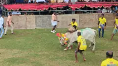 இலங்கையில் மீண்டும் ஜல்லிக்கட்டு