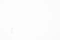 Um arminho sentado em meio à neve