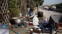 Songül