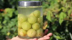 Mão sustenta frasco com groselhas indianas em água salgada