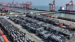 Filas de autos a punto de ser embarcados en el puerto