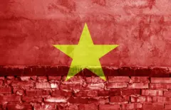 Cờ VN
